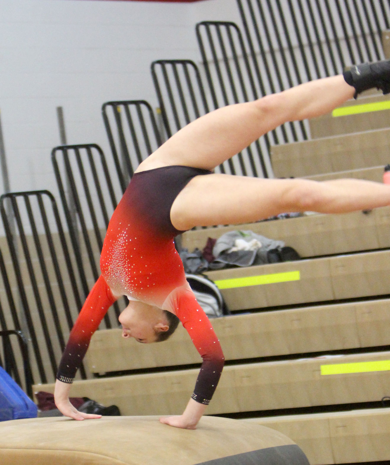 Chippewa Falls Gymnastics Triangular 1-16-21